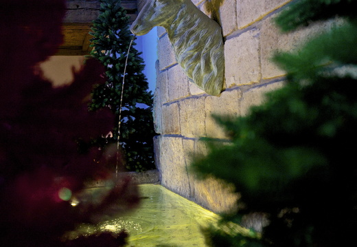 2013_12_Dez_BerndSchoenberger