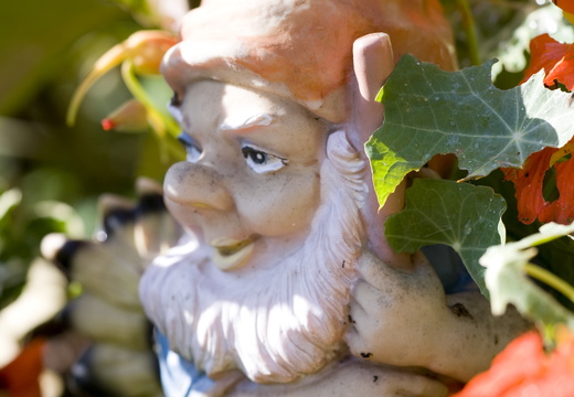 2009_10_Okt_VolkerLinger